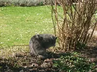 DSCF5083.webp