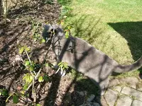 DSCF5078.webp