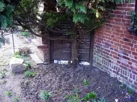 _1024-Wacholder III.webp
