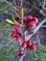 116.webp