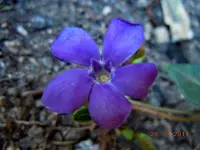 001.webp