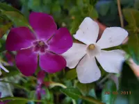 095.webp