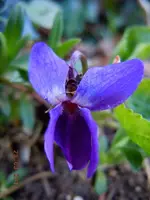 033.webp