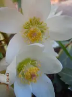 070.webp