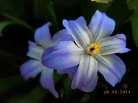 110.webp