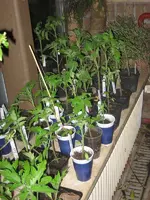 IMG_0889[1].webp