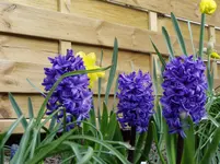 2011 03 30 019.webp