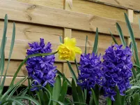 2011 03 30 020.webp