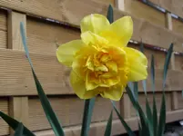 2011 03 30 023.webp