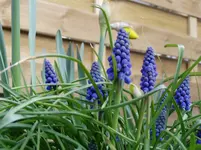 2011 03 30 025.webp