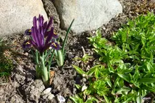 P1040408-1.webp