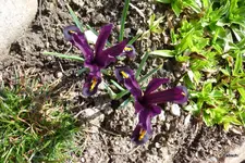 P1040406-1.webp