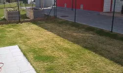 IMAG0152.webp
