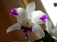 P3270115.webp