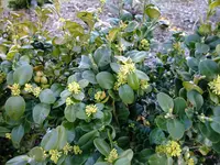 DSCF7915.webp