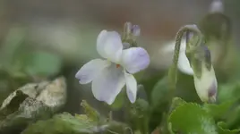 DSC04972.webp