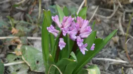 DSC04975.webp