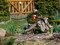SDC13227.webp