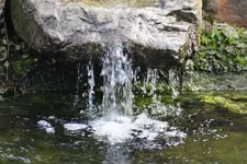 Wasser marsch.webp