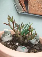 DSCF2554.webp