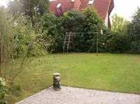 100_1658_1.webp