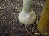 Test 2219.webp
