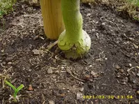 Test 2218.webp