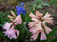 042.webp