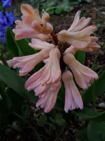 043.webp