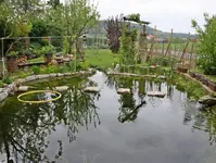Teich (4).webp