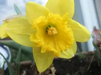 DSCF2567.webp
