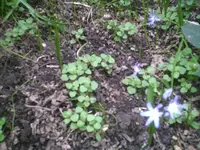 PIC00196.webp