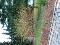 100_9859.webp