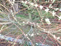 100_9861.webp