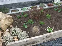 schleifenblumen.webp
