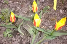 April 2011 002.webp