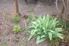 April 2011 003.webp