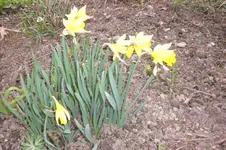 April 2011 009.webp