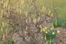 April 2011 010.webp