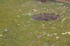 April 2011 012.webp