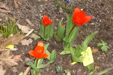 April 2011 013.webp
