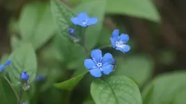 DSC04991.webp