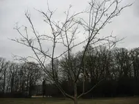 IMG_1406.webp