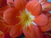 207.webp