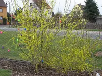 IMG_8590.webp