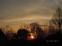 213.webp