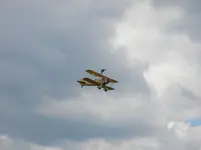 Fliegen_2 192.webp