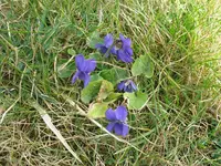 IMG_5224.webp