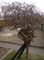 Bild0065.webp