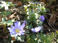 CIMG6345.webp
